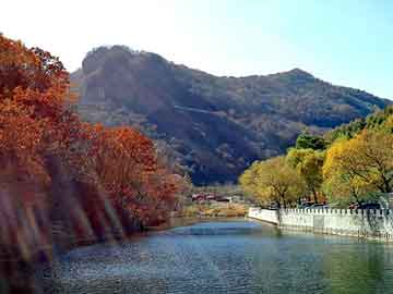 新澳天天开奖资料大全旅游团，土默特左旗seo论坛